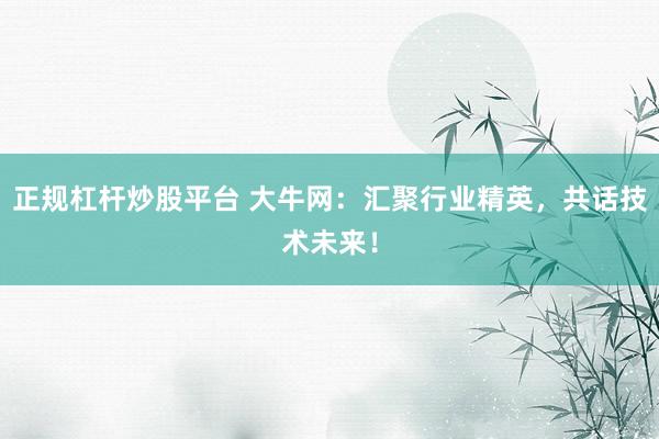 正规杠杆炒股平台 大牛网：汇聚行业精英，共话技术未来！