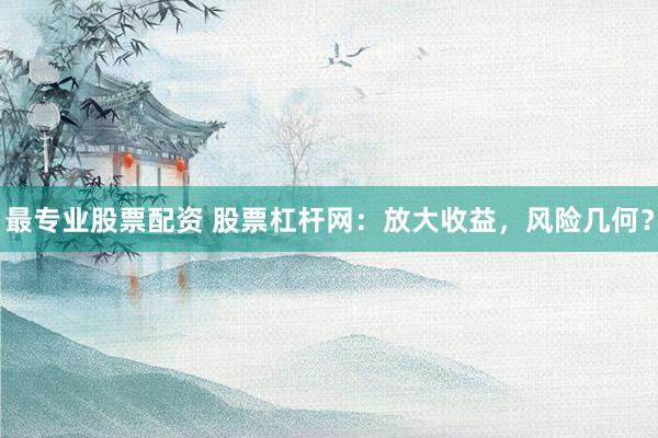 最专业股票配资 股票杠杆网：放大收益，风险几何？