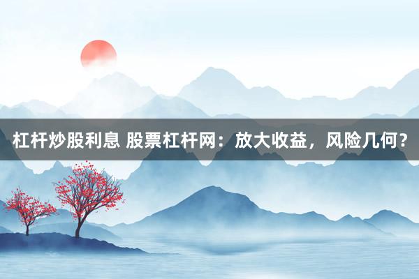杠杆炒股利息 股票杠杆网：放大收益，风险几何？