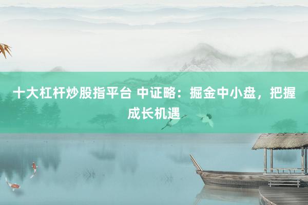 十大杠杆炒股指平台 中证略：掘金中小盘，把握成长机遇
