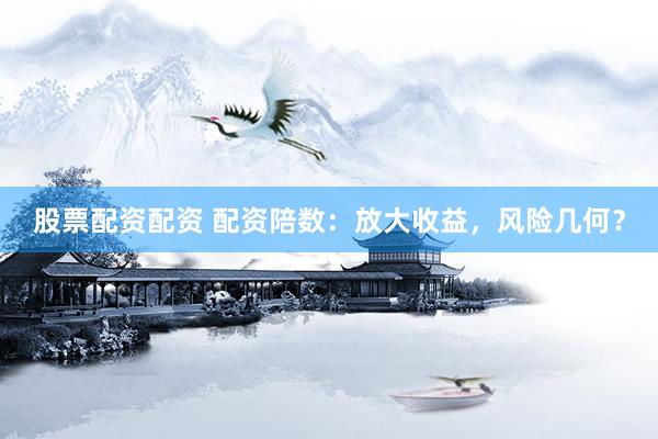 股票配资配资 配资陪数：放大收益，风险几何？
