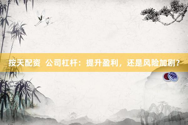 按天配资  公司杠杆：提升盈利，还是风险加剧？