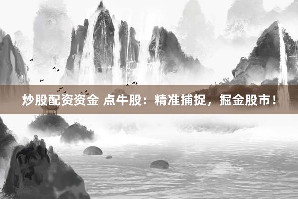 炒股配资资金 点牛股：精准捕捉，掘金股市！