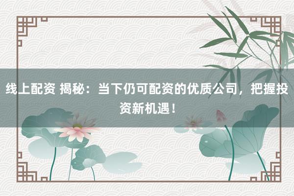 线上配资 揭秘:当下仍可配资的优质公司,把握投资新机遇!