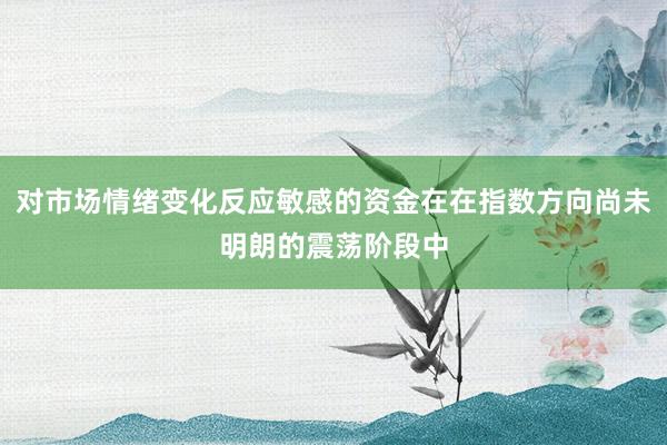 对市场情绪变化反应敏感的资金在在指数方向尚未明朗的震荡阶段中