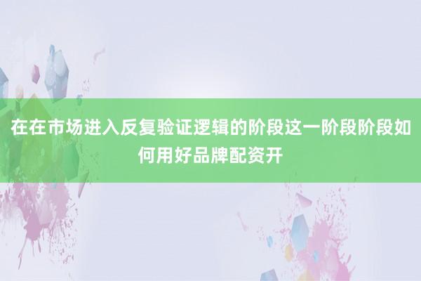 在在市场进入反复验证逻辑的阶段这一阶段阶段如何用好品牌配资开